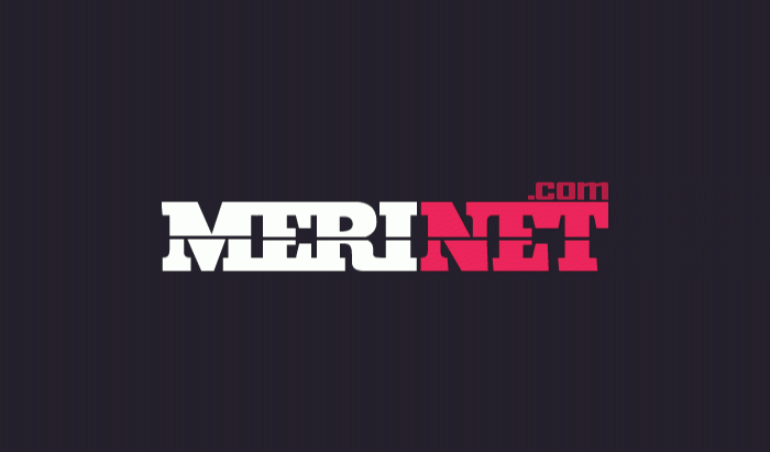 Merinet logo
